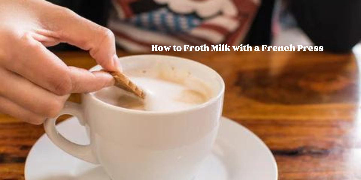 How to Froth Milk with a French Press Bizewo